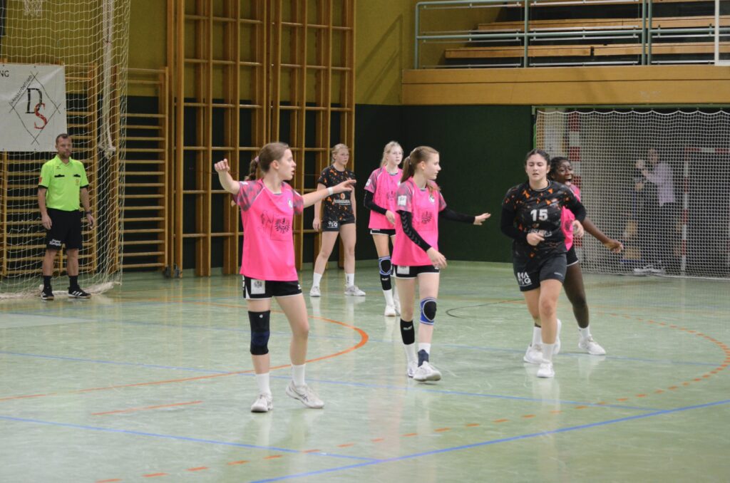 HCE/AUR/AHC vs SK Traun