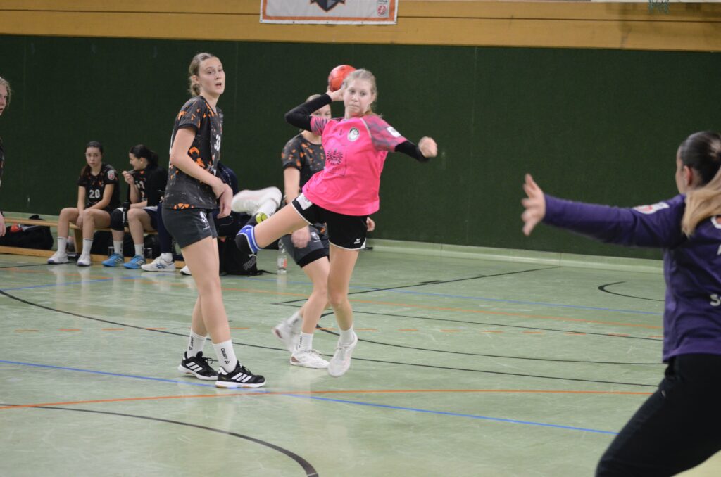 HCE/AUR/AHC vs SK Traun
