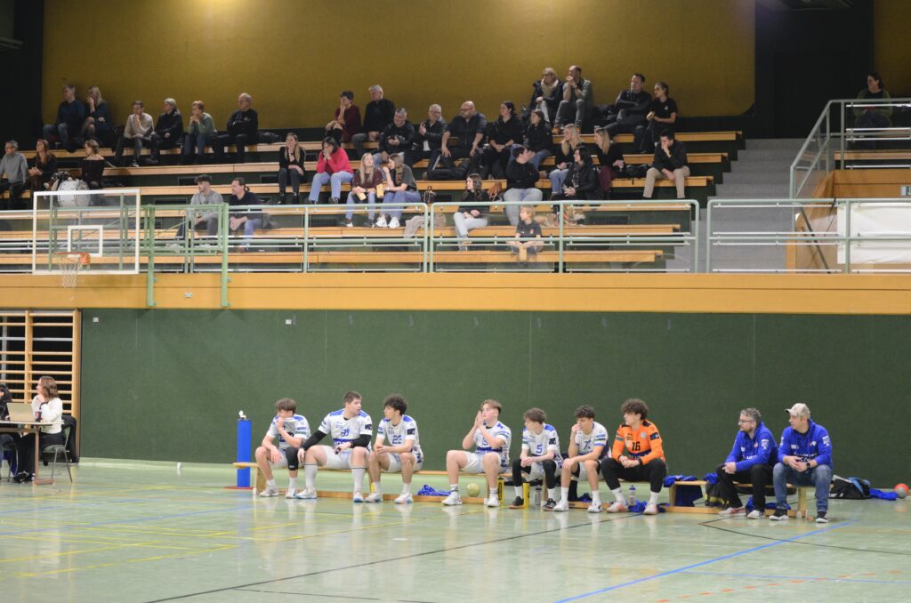 HCE vs HC Linz AG/NH