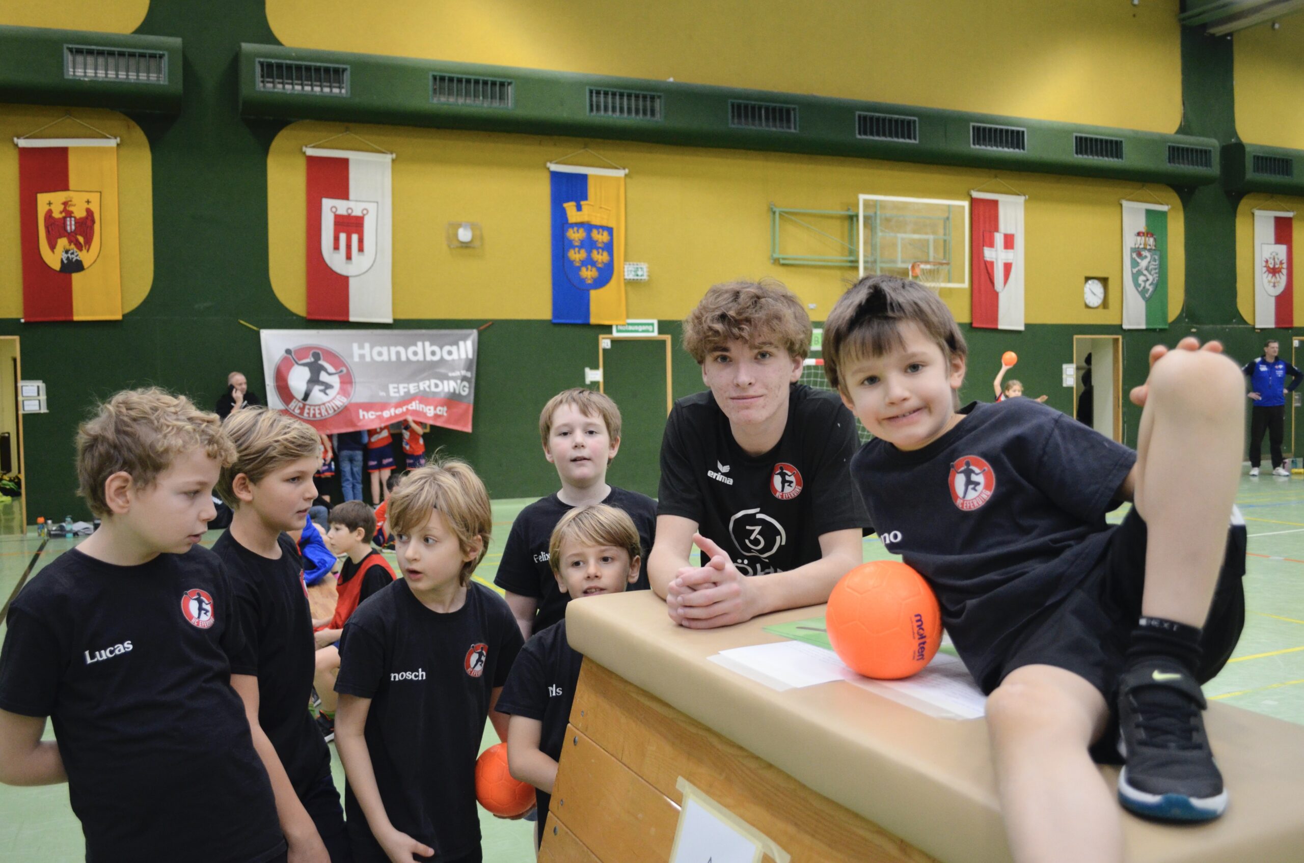 Minihandballturnier in Eferding begeistert Kinder und Fans