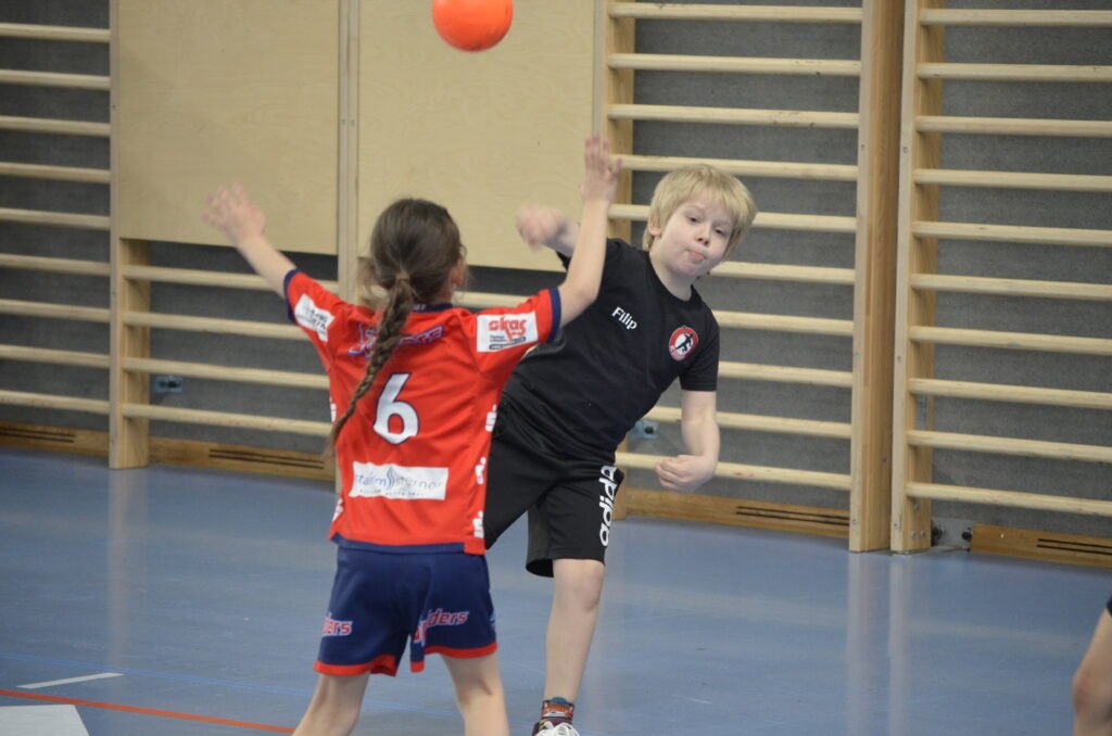 Handballminis zeigen tollen Einsatz in Linz