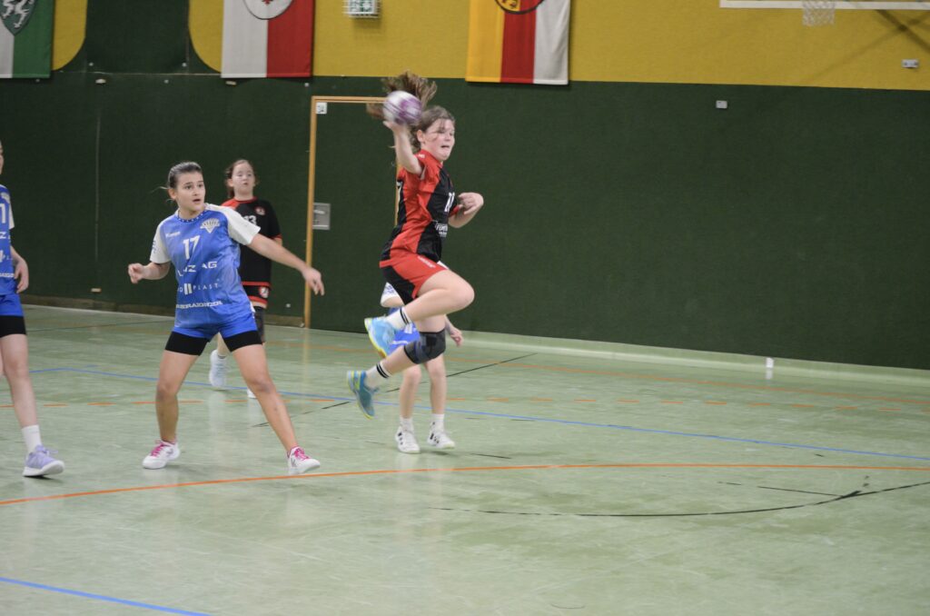 HCE vs HC LINZ AG Ladies II