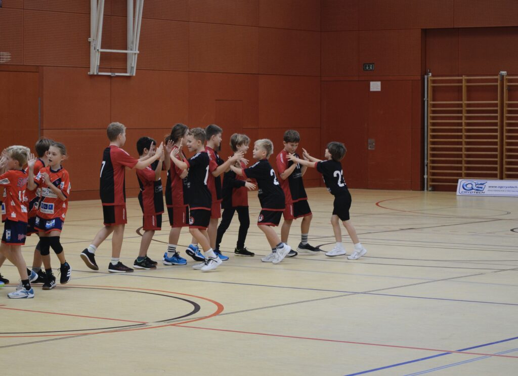 HSC Wels vs HCE